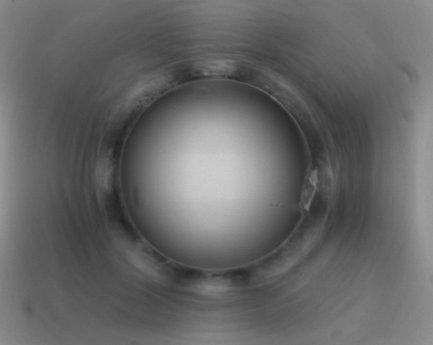 X0000115480604200911061219