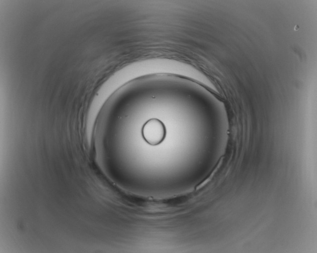 X0000115480605200911061219