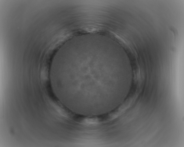 X0000115480606200911061219