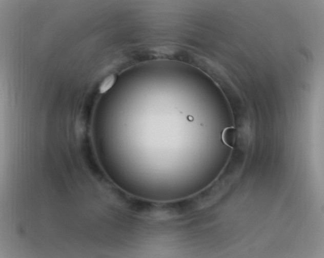 X0000115480608200911061219