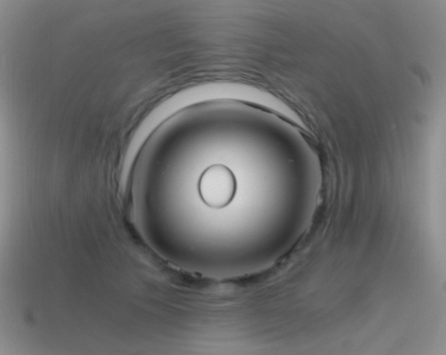 X0000115480609200911061219