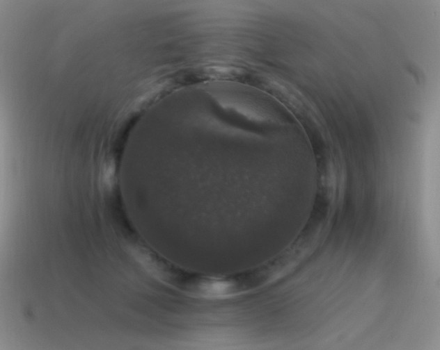 X0000115480610200911061219