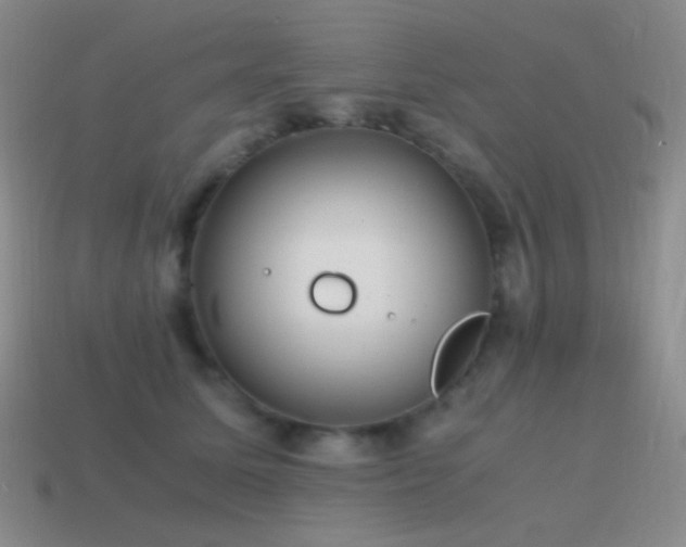 X0000115480611200911061219