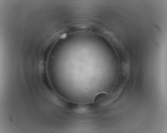 X0000115480612200911061219