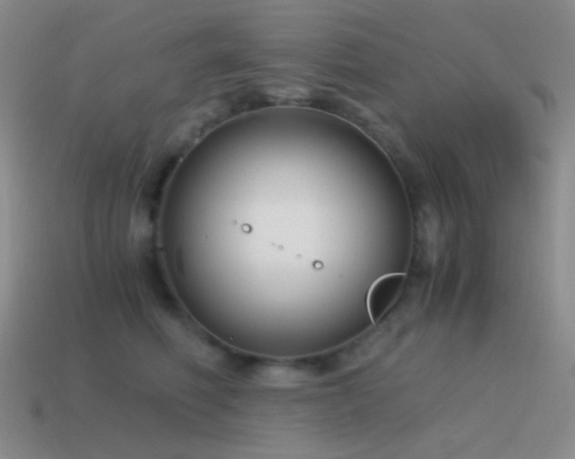 X0000115480614200911061218