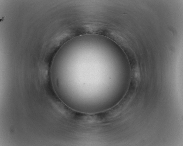 X0000115480615200911061218