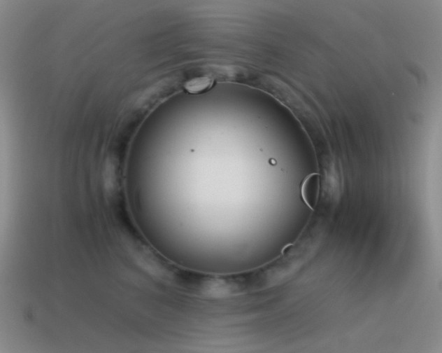 X0000115480616200911061218