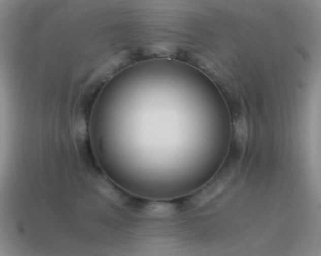 X0000115480617200911061218