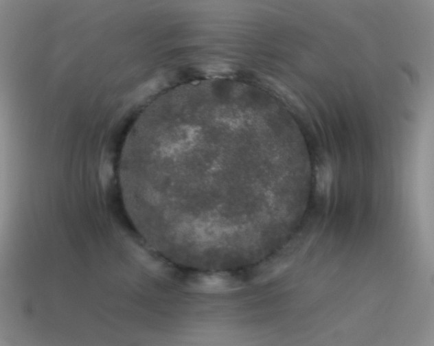 X0000115480618200911061218