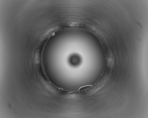 X0000115480620200911061218