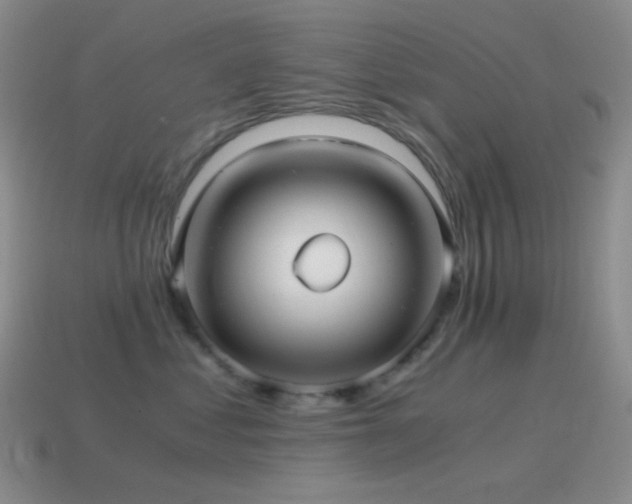 X0000115480621200911061218