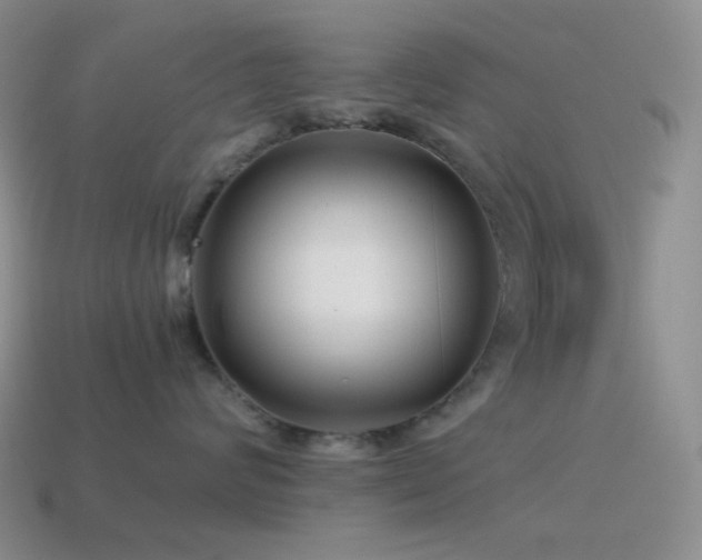 X0000115480624200911061218