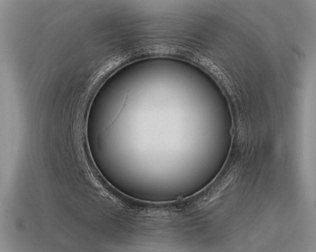 X0000115480625200911061218