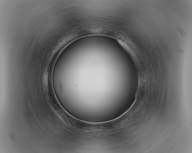 X0000115480626200911061218