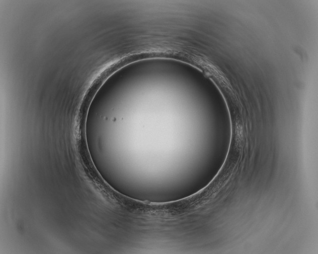 X0000115480628200911061218