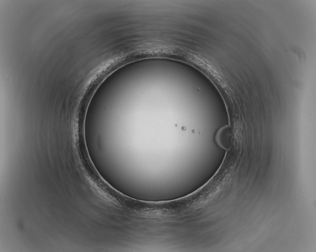X0000115480629200911061218