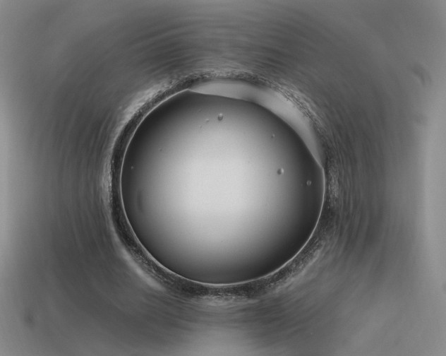 X0000115480630200911061218