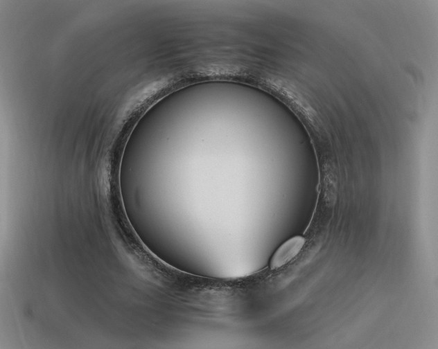 X0000115480631200911061218
