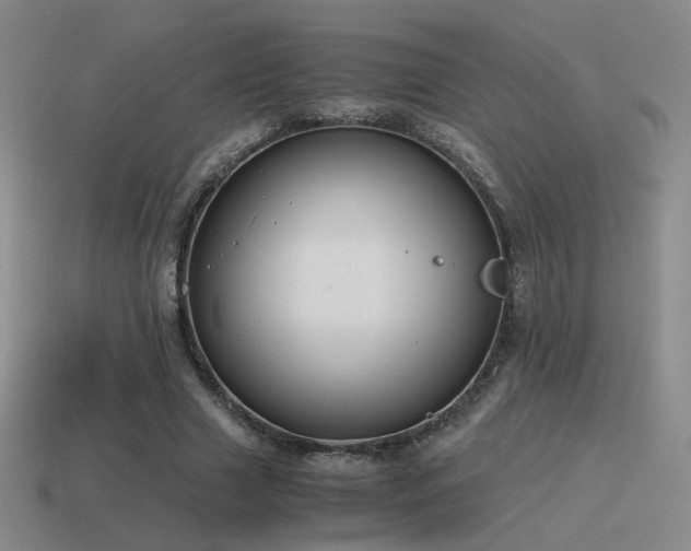 X0000115480633200911061218