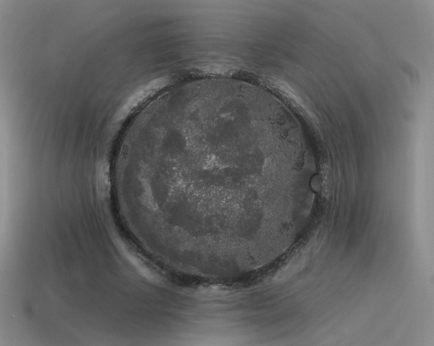 X0000115480634200911061218