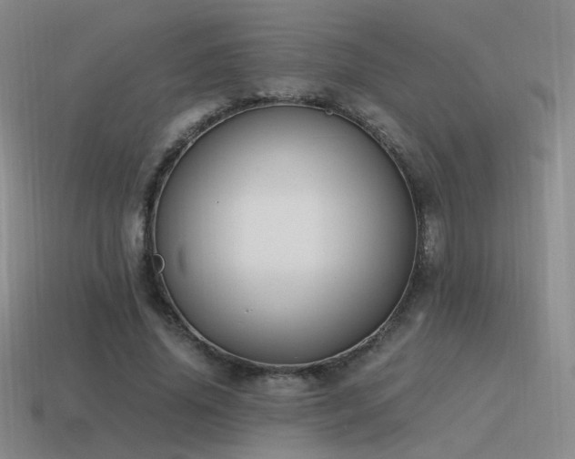 X0000115480636200911061218