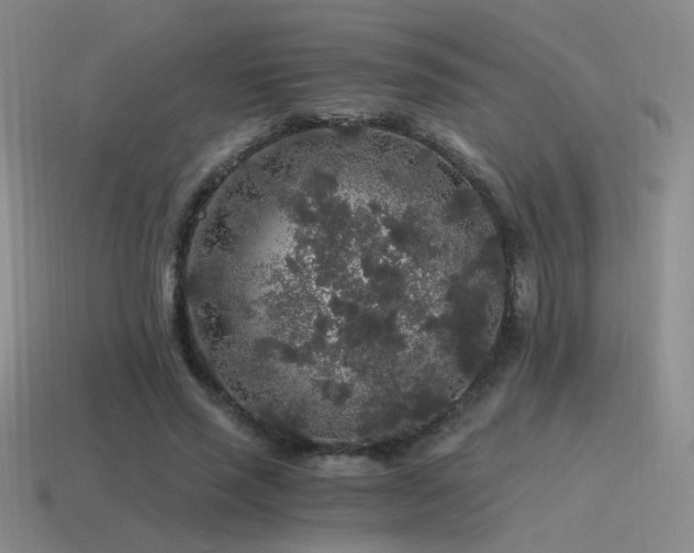 X0000115480637200911061218