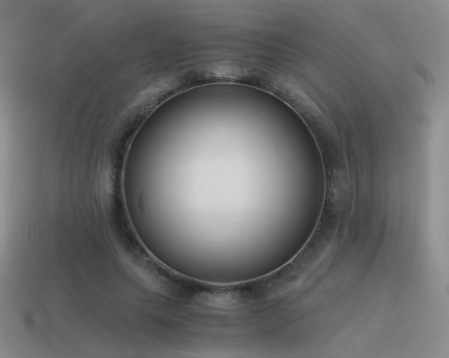 X0000115480639200911061218