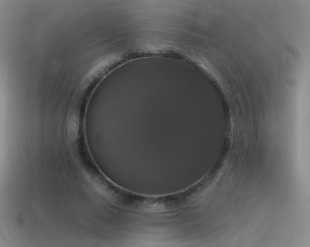 X0000115480640200911061218
