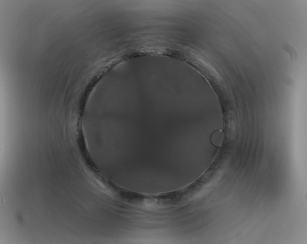 X0000115480641200911061218