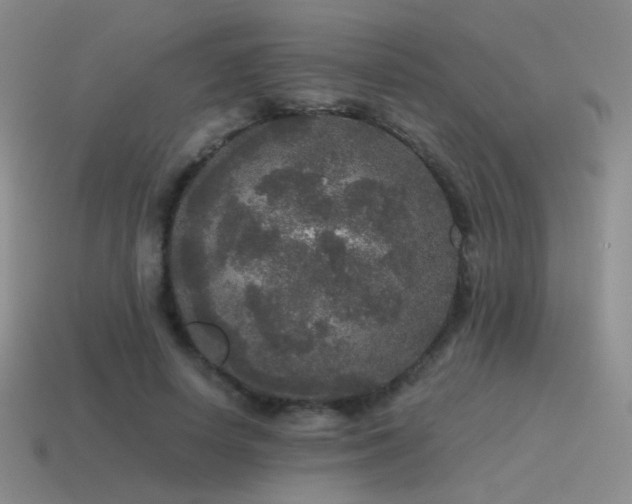 X0000115480642200911061218