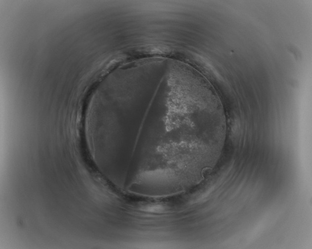X0000115480643200911061218