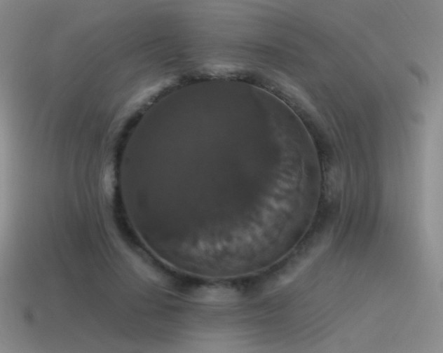 X0000115480644200911061218