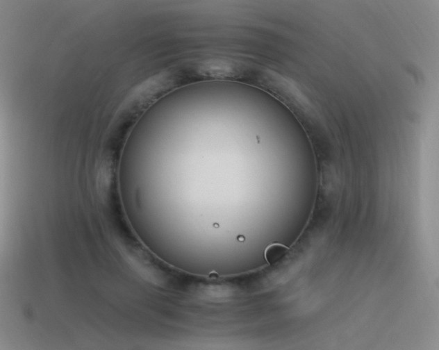 X0000115480645200911061218