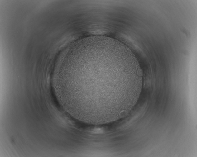 X0000115480647200911061218
