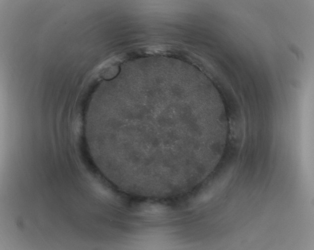 X0000115480648200911061218