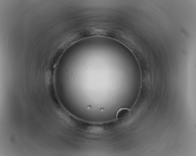 X0000115480649200911061218