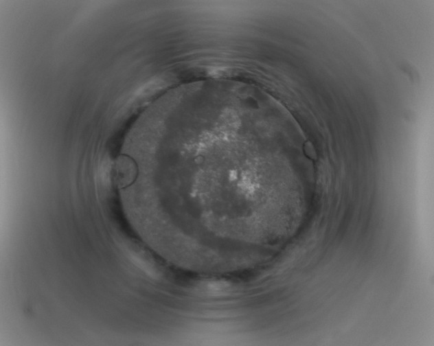 X0000115480650200911061218