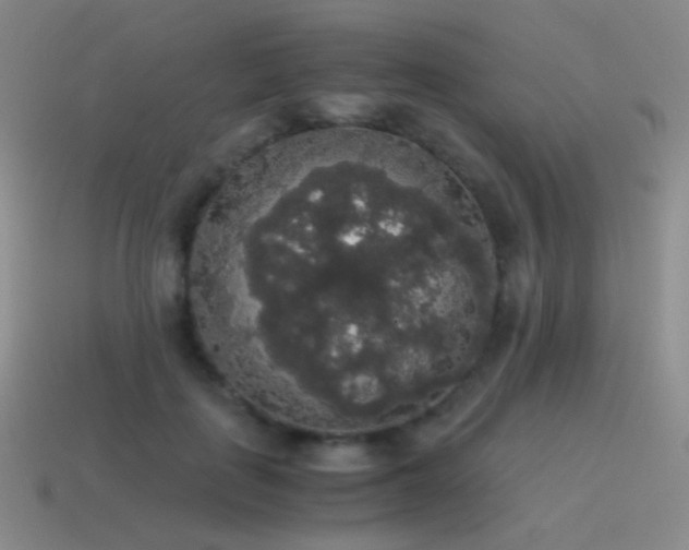 X0000115480651200911061218