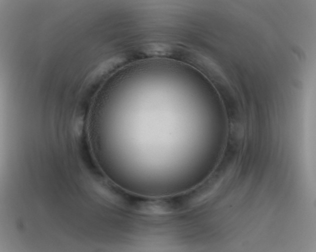 X0000115480652200911061218