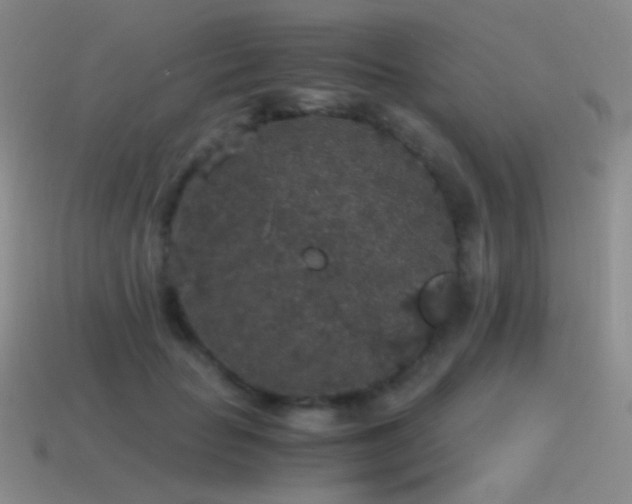 X0000115480653200911061218