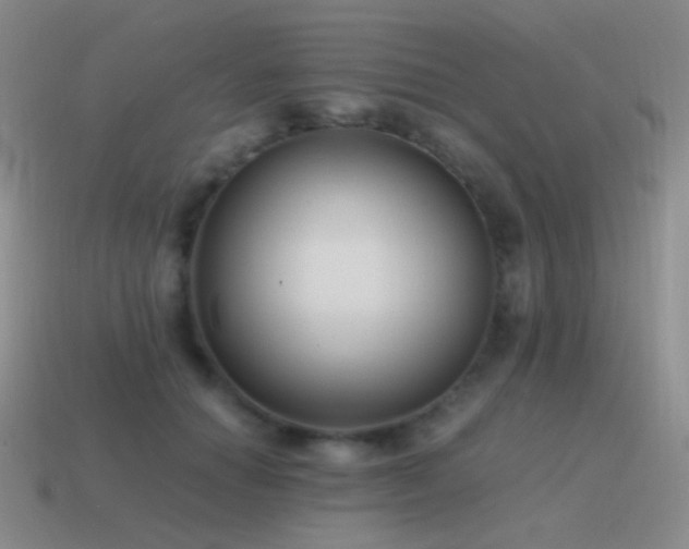 X0000115480654200911061218