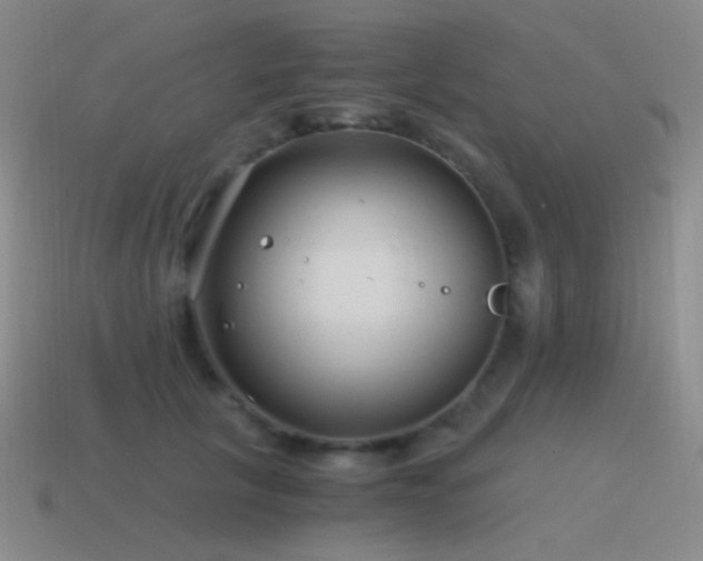 X0000115480657200911061218
