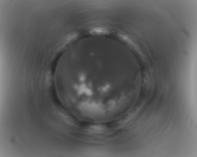 X0000115480659200911061218