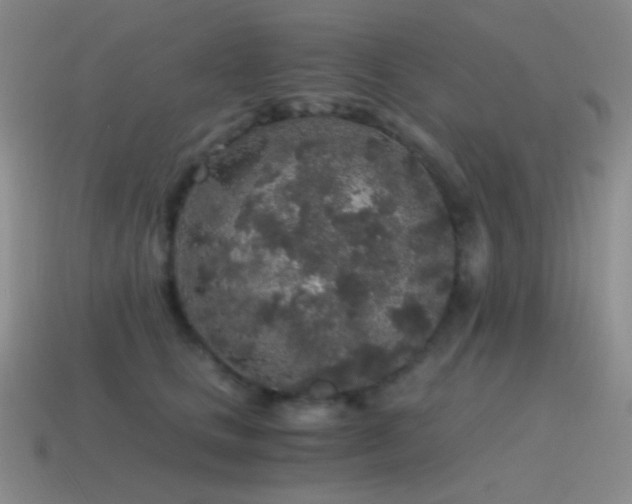 X0000115480661200911061218