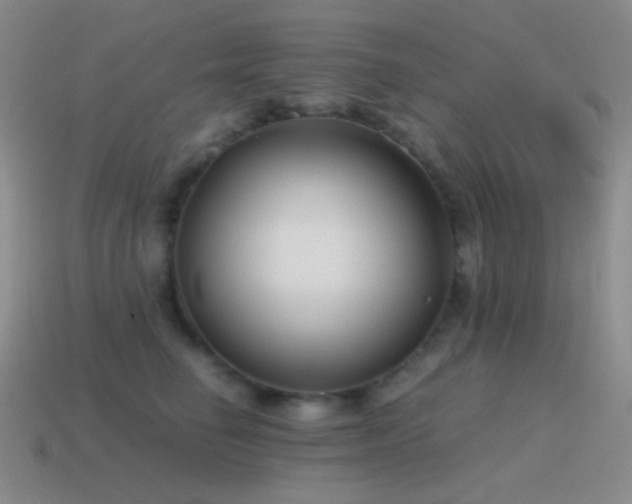 X0000115480662200911061218