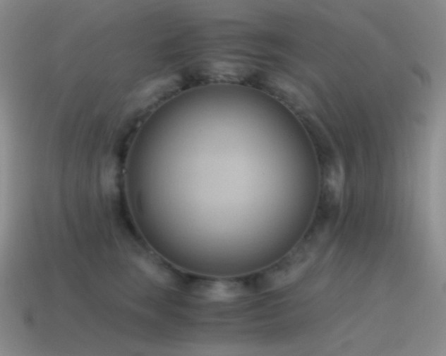 X0000115480663200911061218