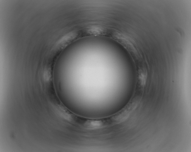 X0000115480665200911061218