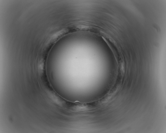 X0000115480668200911061218