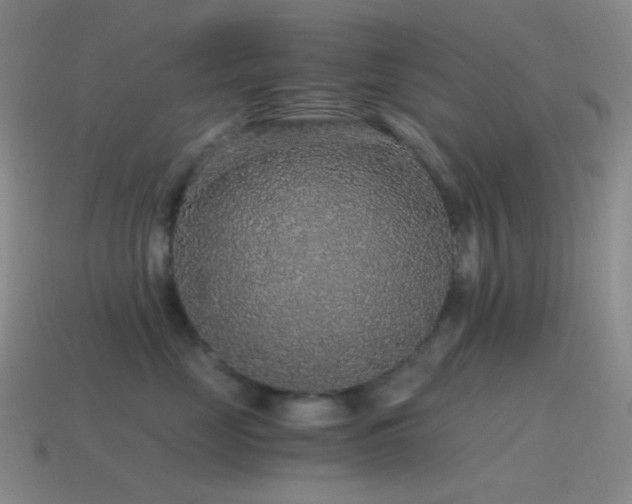 X0000115480669200911061218