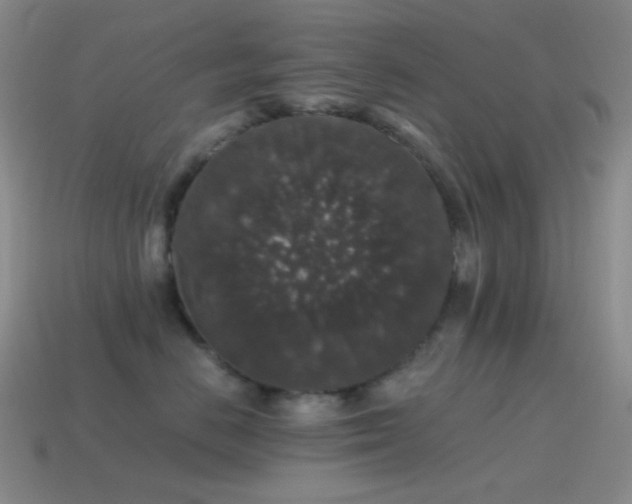 X0000115480670200911061218